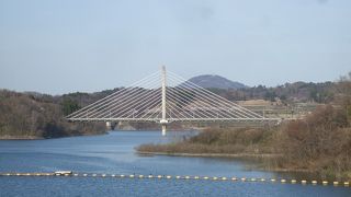 さくら湖の周囲は桜の名所