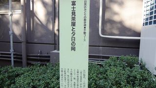 お江戸、富士見物の名所