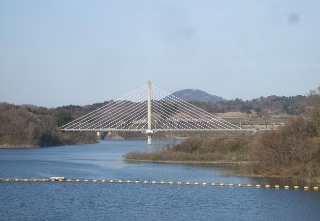 桜の花と春田大橋を眺めてダムカードを貰います