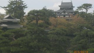 松江城の堀の中全体が公園になっています。