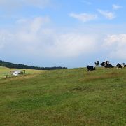 諏訪湖を一望できる高原