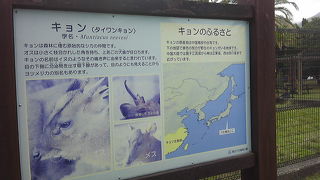 キョンに会いに