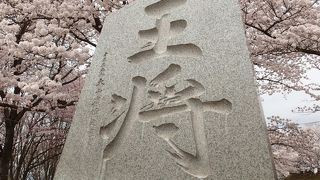 桜の時期に行われる、天童人間将棋の舞台です