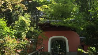 落ち着いて鑑賞が出来ました