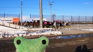 ばんえいの迫力にくぎづけ！！