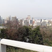 広島市内を見渡せます。