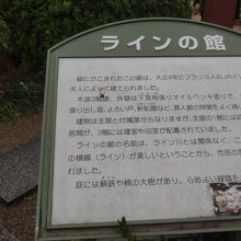 ラインが美しいということからこの名前がついたのですね。