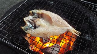 ２月の第一週は店が少ない