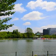 遠くにはスカイツリーが見えます