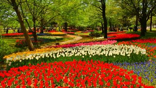 フラワーフェスティバル