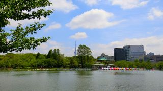 都会のオアシス