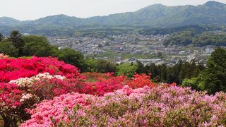 GWにはつつじまつりと陶炎祭の両方を楽しめます