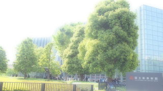 曲線の外観が美しいです