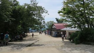 高尾山の頂上に行くに当たり、いくつものルートが有って、どのルートも楽しく登る事ができます