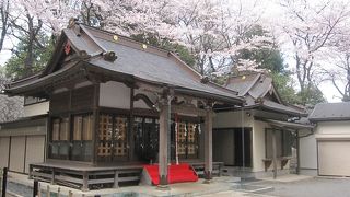 横浜市北西部にたくさんある杉山神社の、その本社と有力視されている４社のうちの一つです。