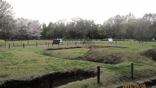 弥生時代中期の環濠集落跡の「大塚遺跡」と、同じ時期の墓の方形周溝墓群の「歳勝土遺跡」からなっています。