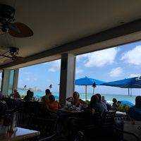 ショアバードは昼も夜も大人気！