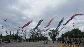 商売っけ無し。