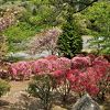 野呂山キャンプ場