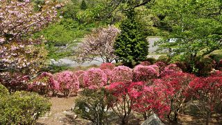 野呂山キャンプ場