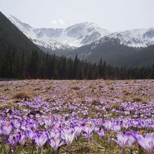 山は逆光。午前中が望ましい。