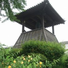 山吹の花は岩槻区の花