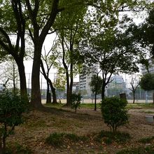 磯路中央公園