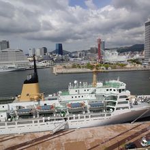 すぐ近くでみることができます