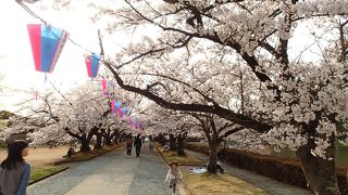 堂ノ前公園