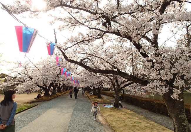 堂ノ前公園