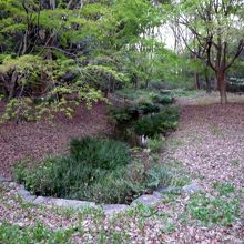 自然が残っています