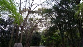 新緑と紅葉の季節がお勧め