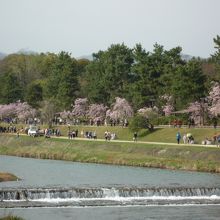 河川敷を利用した公園