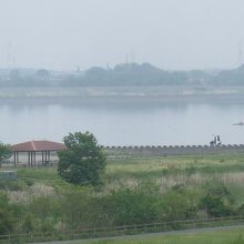 遊学館の展望スペースから渡良瀬遊水地が見晴らせます