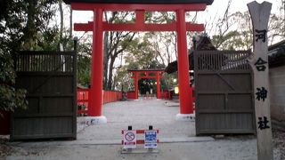 「美人水」なる飲み物も販売しているようです