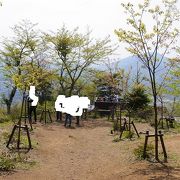 河口湖と富士山の眺望に期待