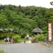 七重八重花は咲けども山吹の・・・