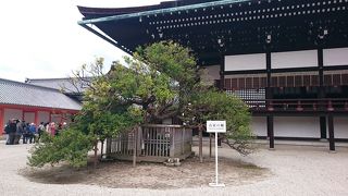 源氏物語にワープ　京都御所