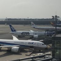 部屋からは見えません国際線展望デッキから撮影