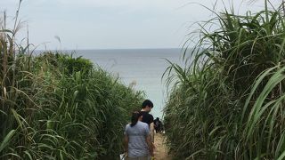 ハートロック見ました。