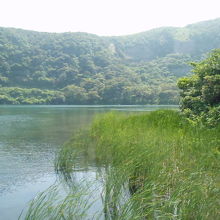 大路池の風景