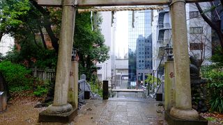 太古の地形を想起させる