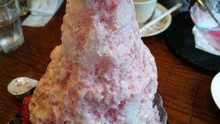 靭公園横。かき氷がおいしい