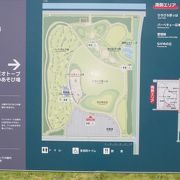 ドッグランにも最適　街中の広い公園