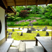 光明院庭園「波心庭」ツツジの頃