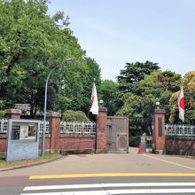 芸大の門、音楽の建屋が並ぶところ