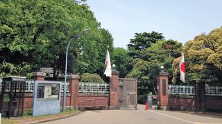 通りを挟んで、音楽と美術に分かれている