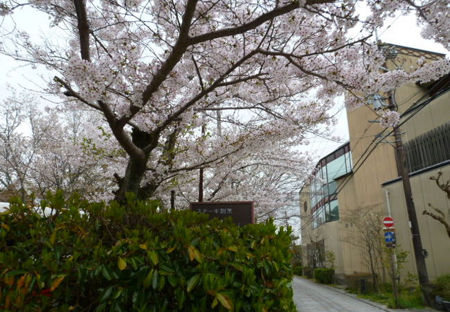 ステーキ割烹花やしき