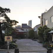 街道松の広場