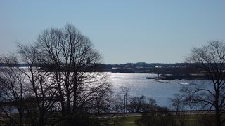 散歩が気持ちいい